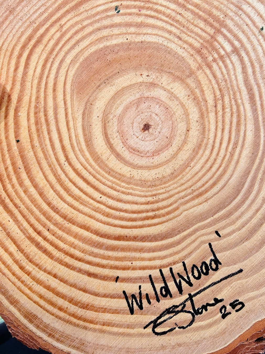 Wild Wood I