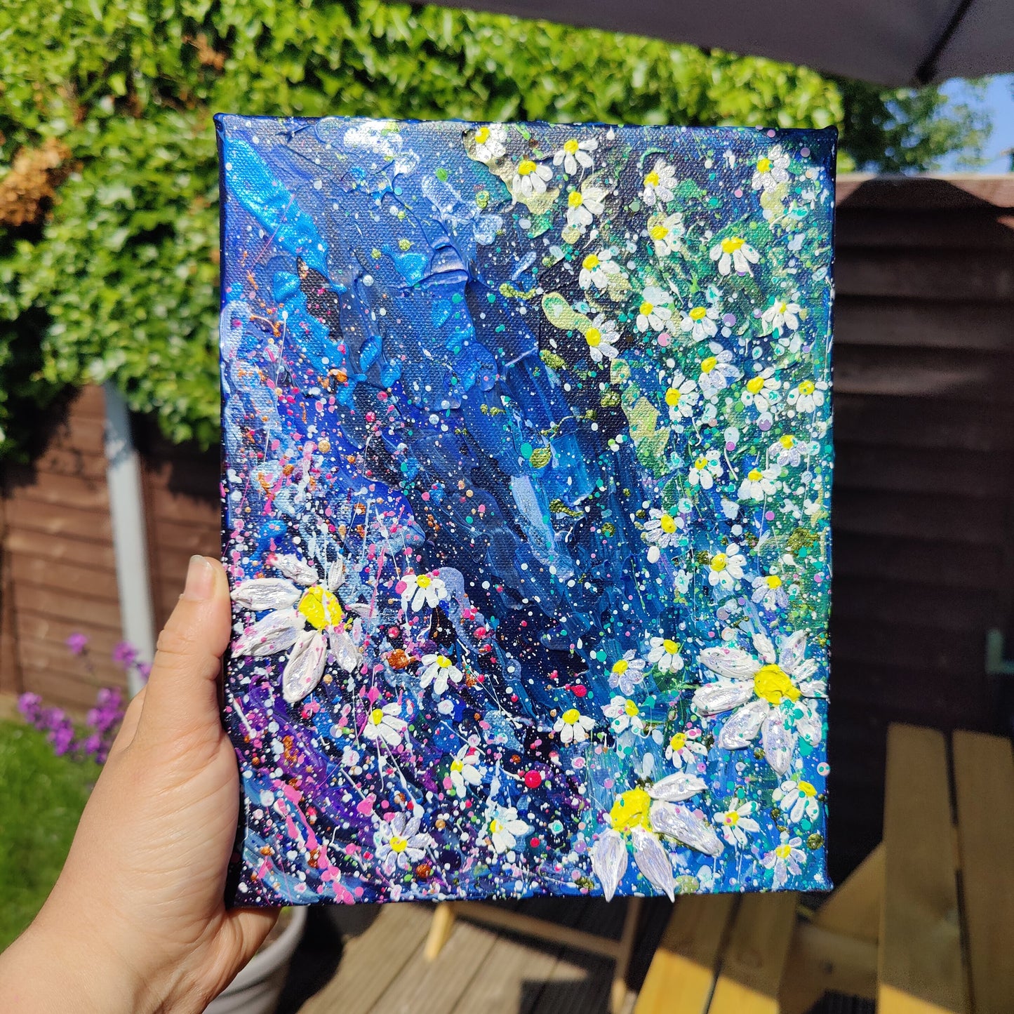 Astro-daisies